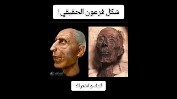 كيف كان شكل فرعون حقيقي 