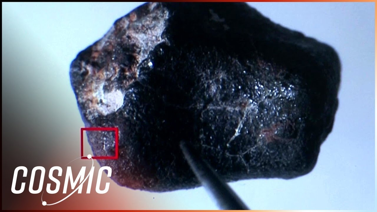 Hunting Legendary Meteorites in Poland - Secrets of Space Rocks Revealed