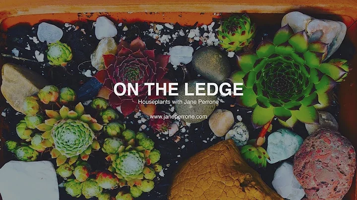 Houseplants (On the Ledge Podcast with Jane Perron...