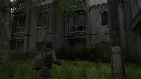 the last of us part 2 day 1 patch texture bug 3