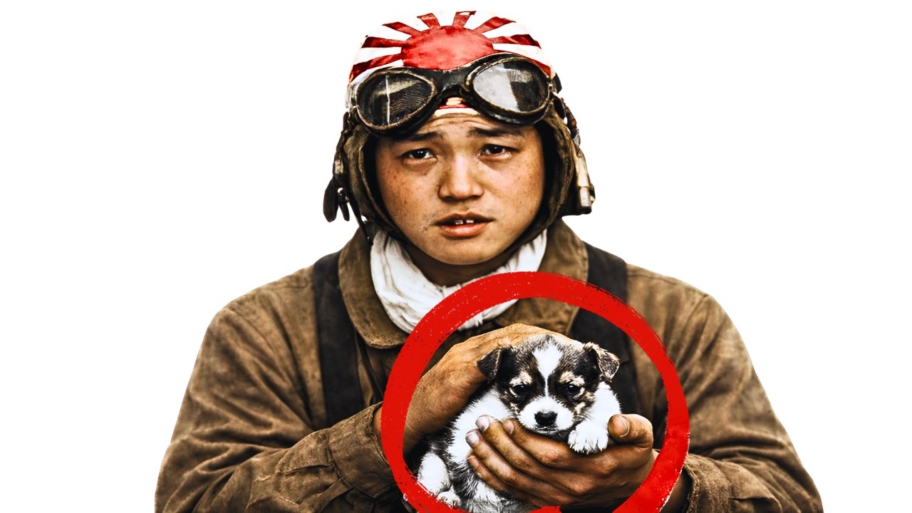 What U.S. Navy Did to Surviving Kamikaze Pilots — Transcript