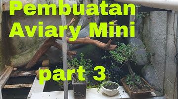 Proses pembuatan Aviary Mini part 3~Aiman Channel
