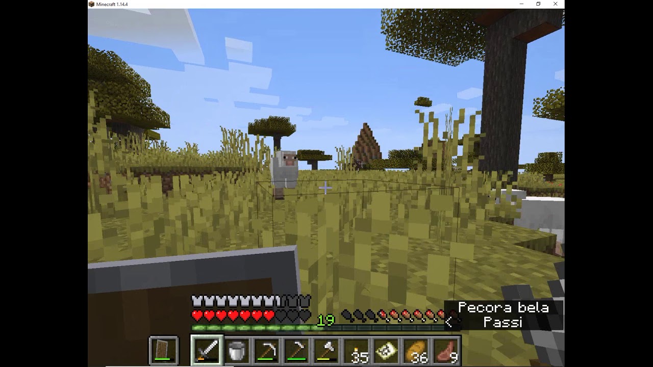 Come Si Fa La Farm Di Ferro Su Minecraft