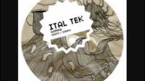 Ital Tek- Gonga ( V-Ziq Remix)