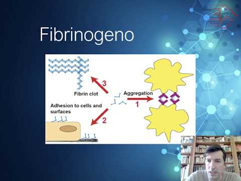 Video: Coagulopatia Indotta Da Traumi E Sanguinamento Critico: Il Ruolo Della Trasfusione Di Plasma E Piastrine