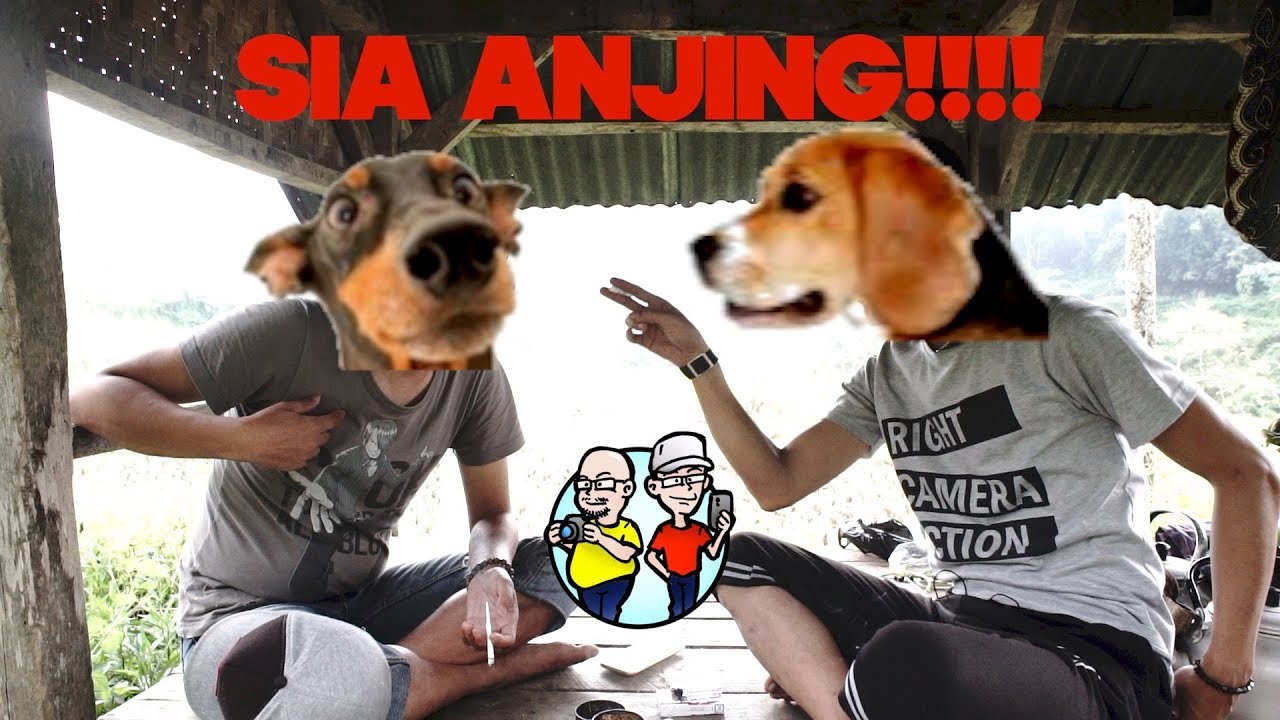 Vlog 3 Penggunaan Kata Anjing Pada Bahasa Sunda Youtube