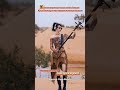 Жуңгонун жөрөлгөлүү музыка аспабы Саншуан Жуңго Шинжаңдын кооз көрүнүшү менен куп жарашкан