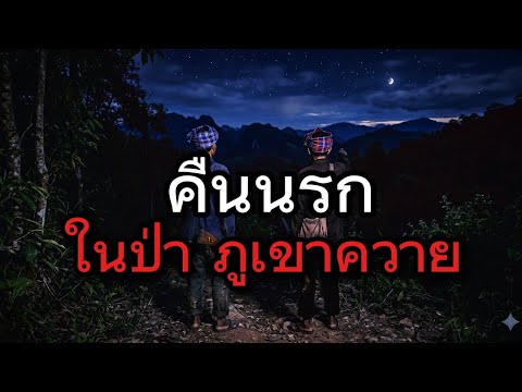 คืนนรก ป่าภูเขาควาย  | เล่าสู่กันฟัง.