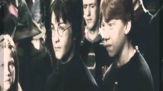 Draco & Harry - kissed a boy
