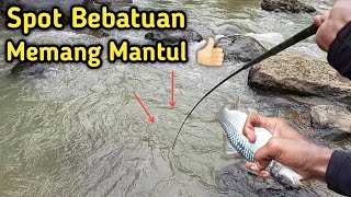 Jarang Orang Tau❗Mancing Nilem Spot Bebatuan Sarang Nya Ikan Nilem❗