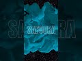 tag for SAFOORA ❤️❤️