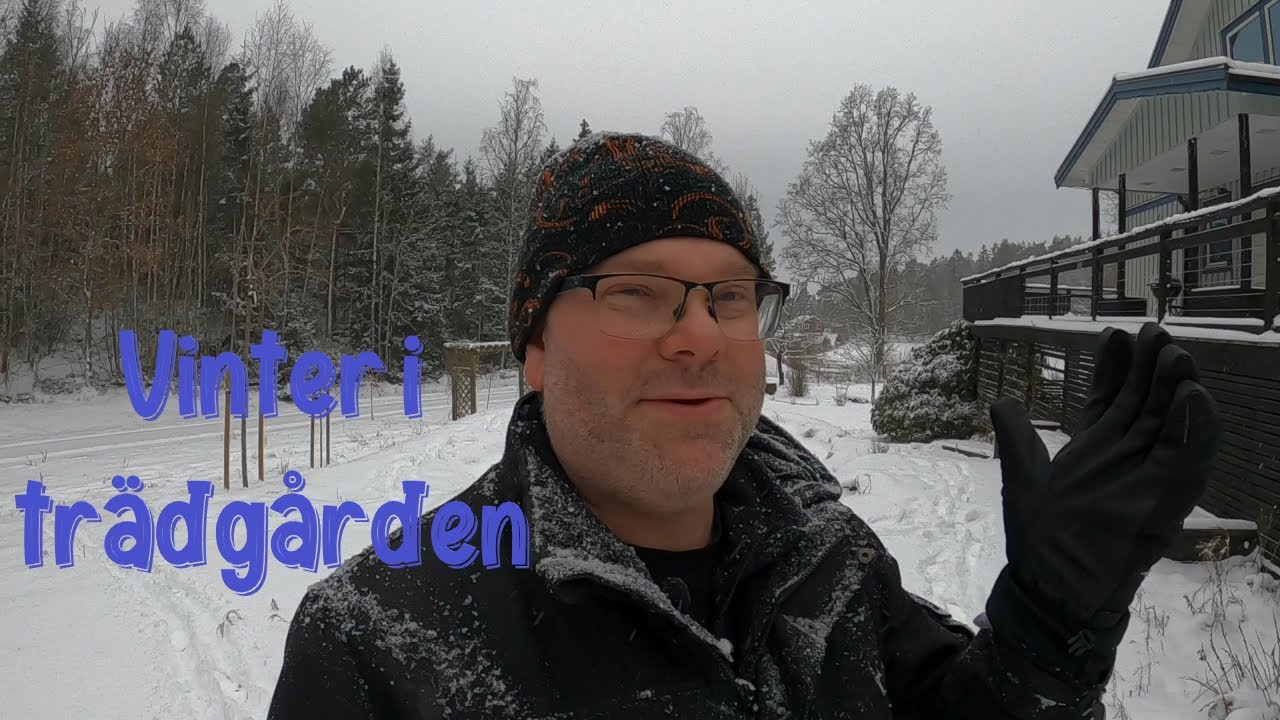 Trädgården på vintern – förberedelser för säsongen 