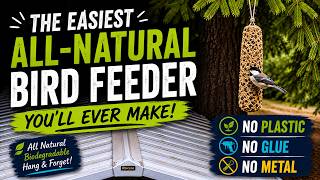 The Easiest All-Natural Bird Feeder You'll Ever Make!