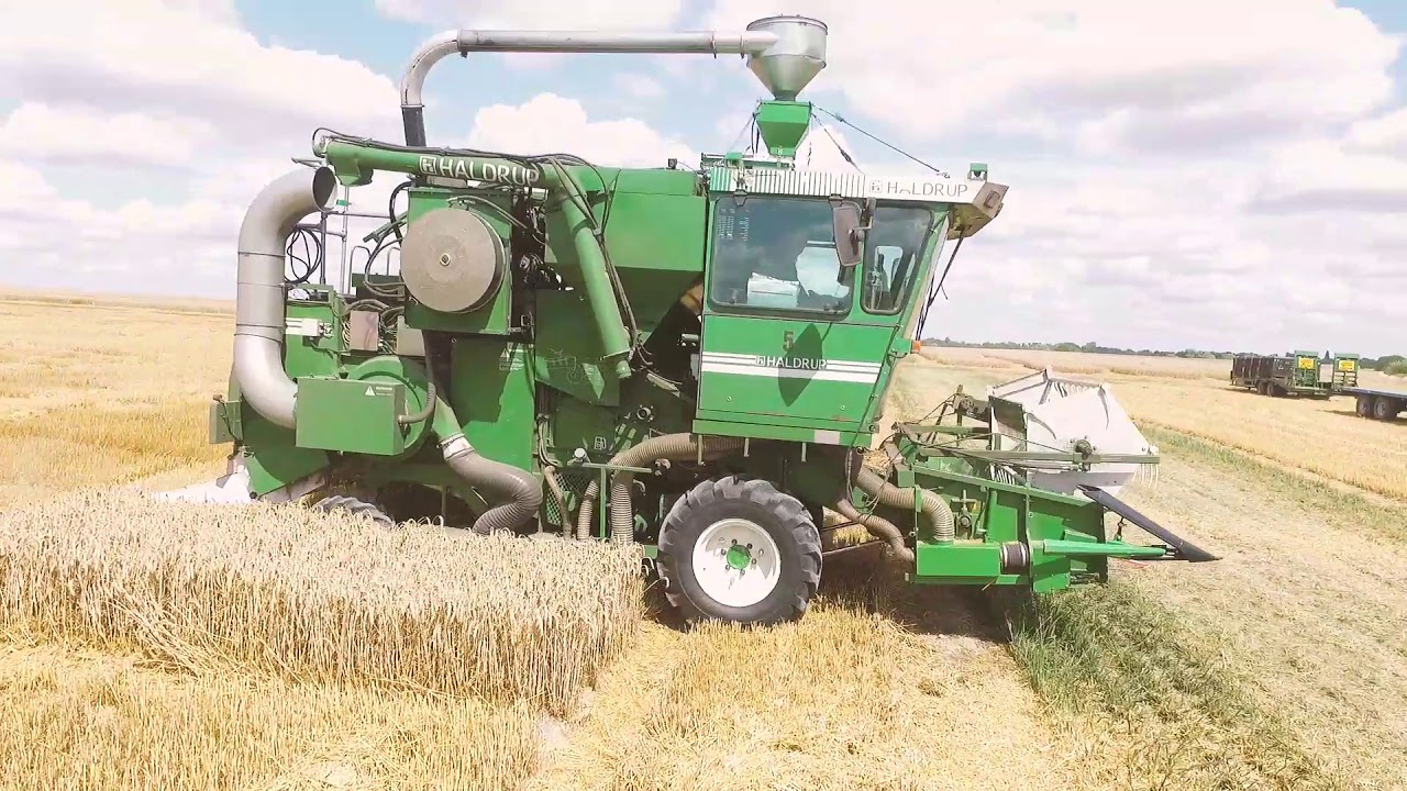 2019 Trials Plots Harvest