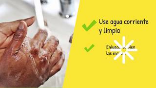 Handwashing Safe Practices - Spanish