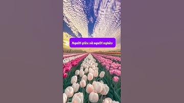 Người nghèo và người giàu #shortvideo #fyp  #trendingshorts#fyp  #lậptrìnhtiềmthức#trending