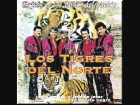 Jose Perez Leon-Los Tigres Del Norte
