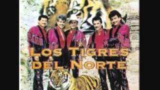 Video thumbnail of "Jose Perez Leon-Los Tigres Del Norte"