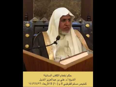 حكم إطعام الكلاب السائبة الشيخ أ د علي بن عبدالعزيز الشبل