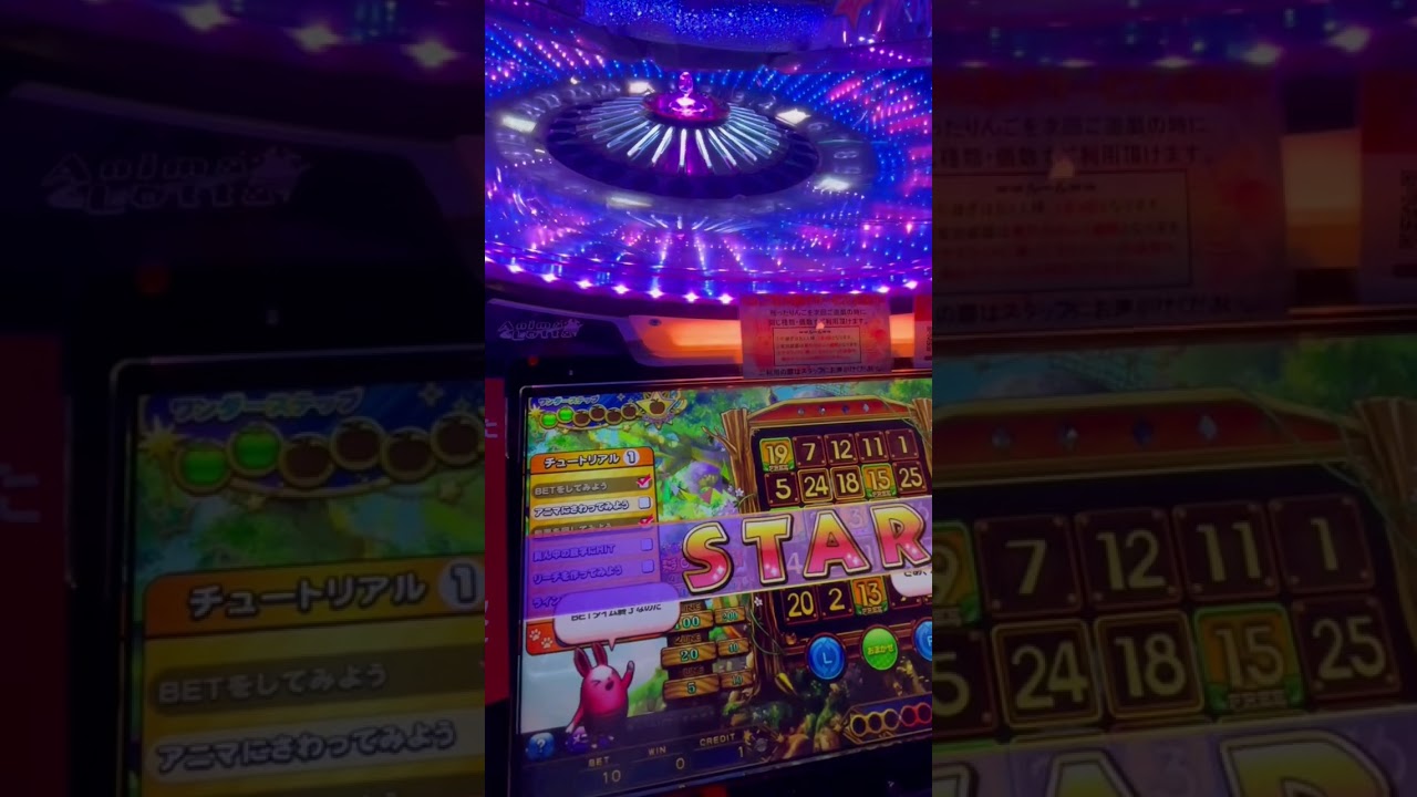 Bingo Game 3 YouTube