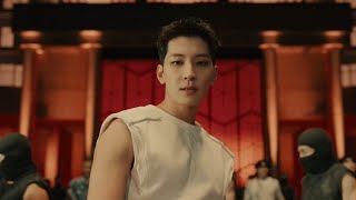 All Seventeen Mvs But Wonwoo Lines