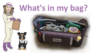 What's in my beekeeping bag?