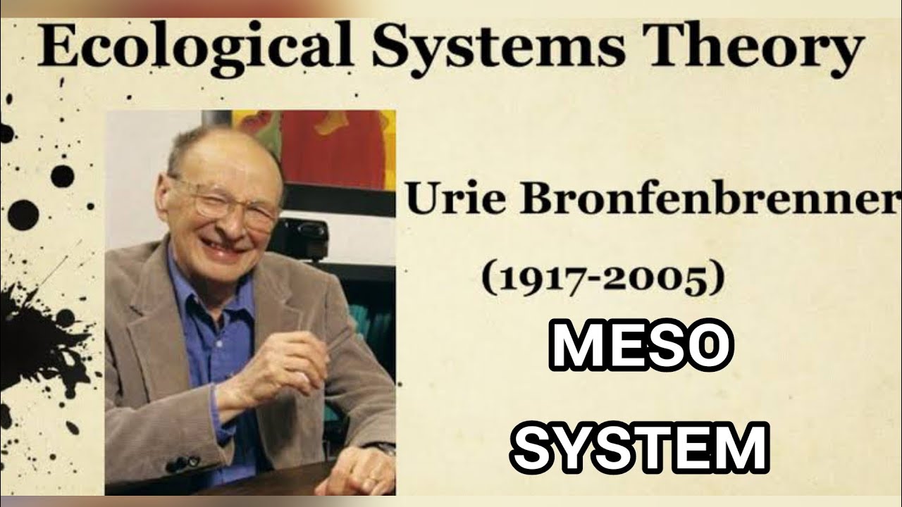 Messo System Meso System - Urie Bronfenbrenner's Ecological systems Theory ...
