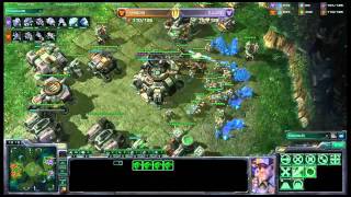 APL S1 Beta League Grand Final Fallacy vs Fever Clan g6