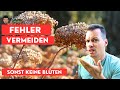 Verblühte Hortensien - schneiden oder nicht?