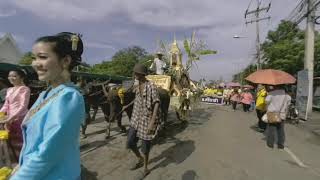 360Today-Al Caudullo at The Buffalo Races in Thailand screenshot 5