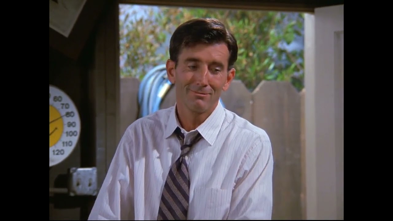 Seinfeld - Lloyd Braun Serenity now, insanity later