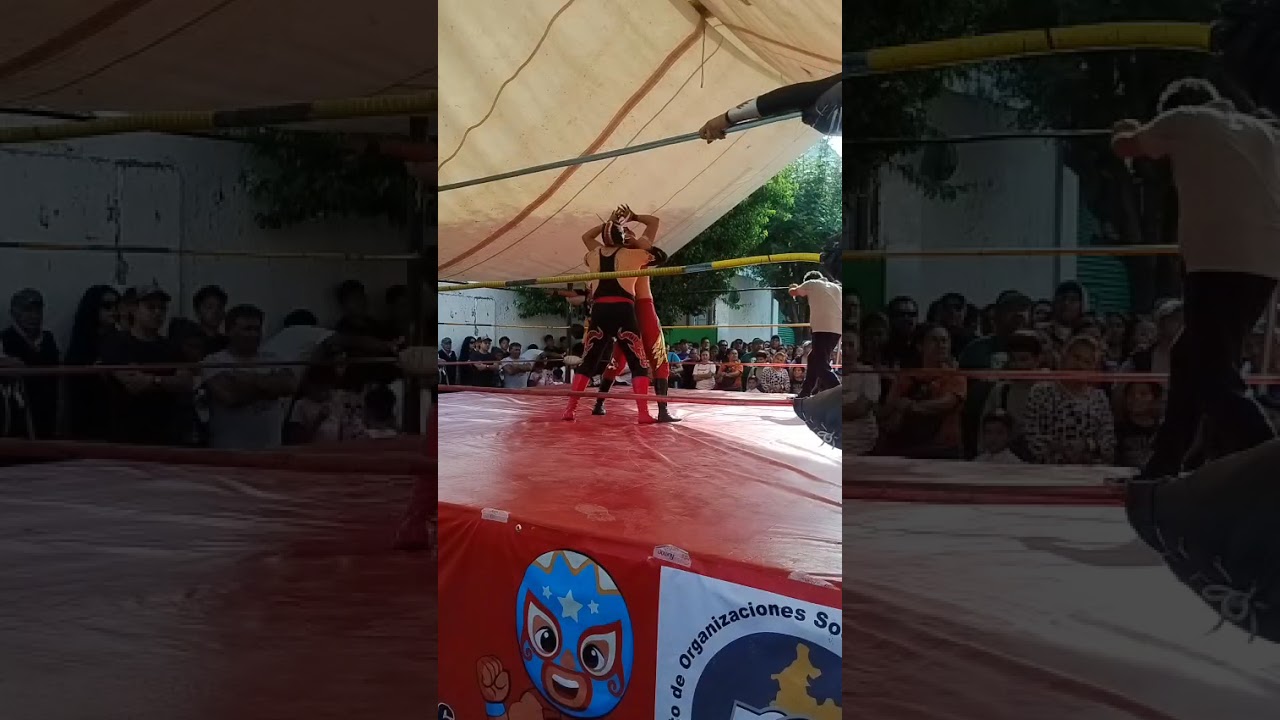 Tao li y principe buluc vs amenaza roja y dark Warrior lucha en parejas