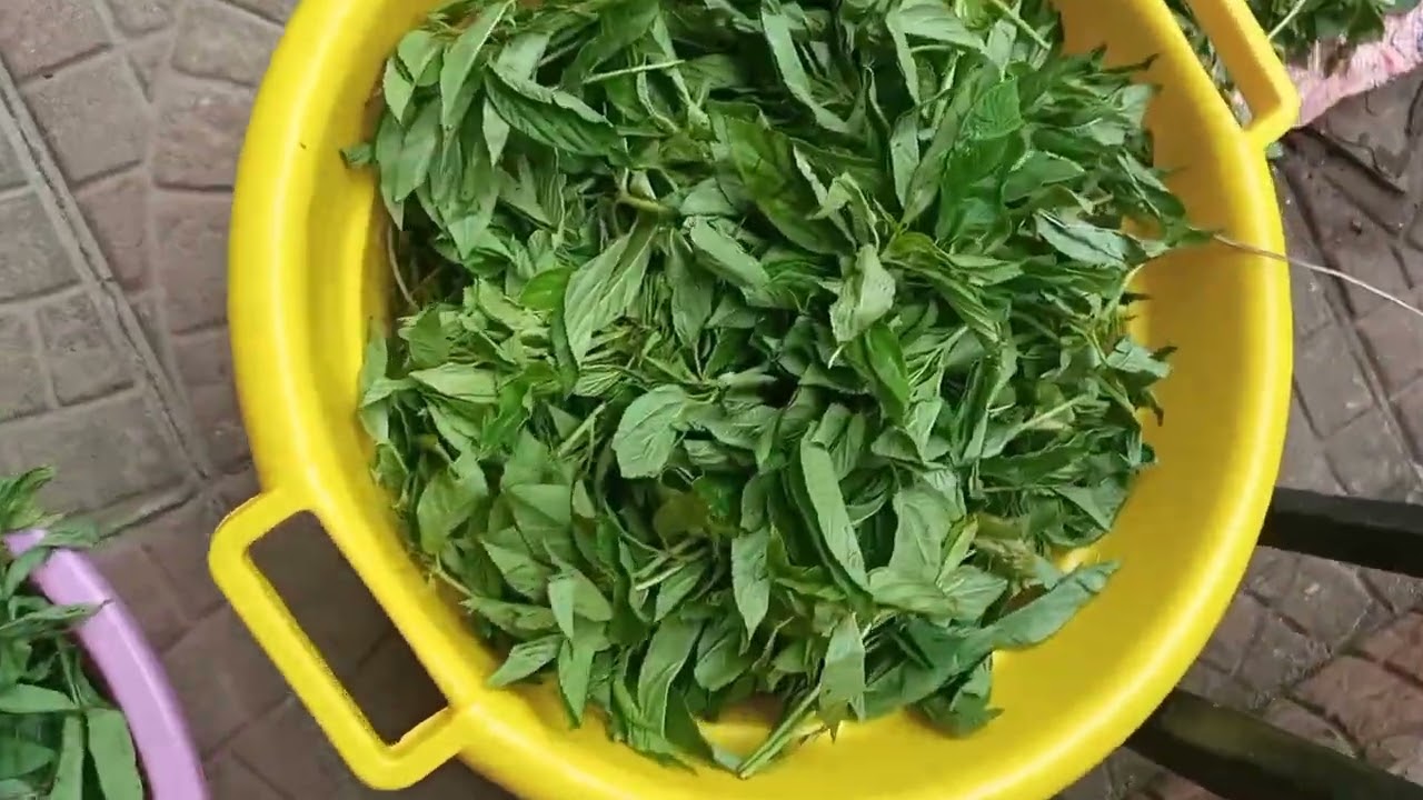 7 types of African village vegetables and native names 😋