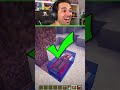 ESPERIMENTI DI MINECRAFT - VERO O FALSO ?