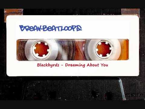 breakbeat-loops---blackbyrds---dreaming-about-you---96-bpm