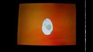 Shiny Honedge Hatches via Masuda Method Egg 588 or 1788 (with Charm?)