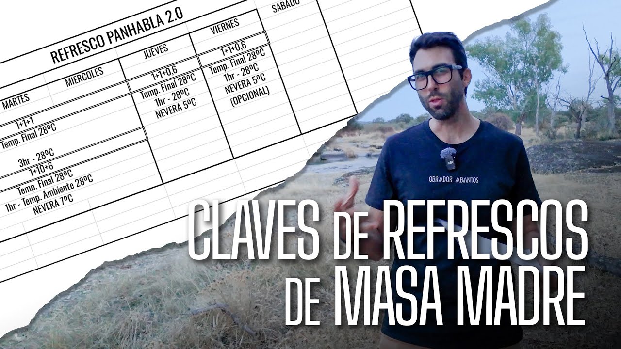 La tabla de refrescos de masa madre.