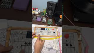 OP-1 Vinyl Golden Samples