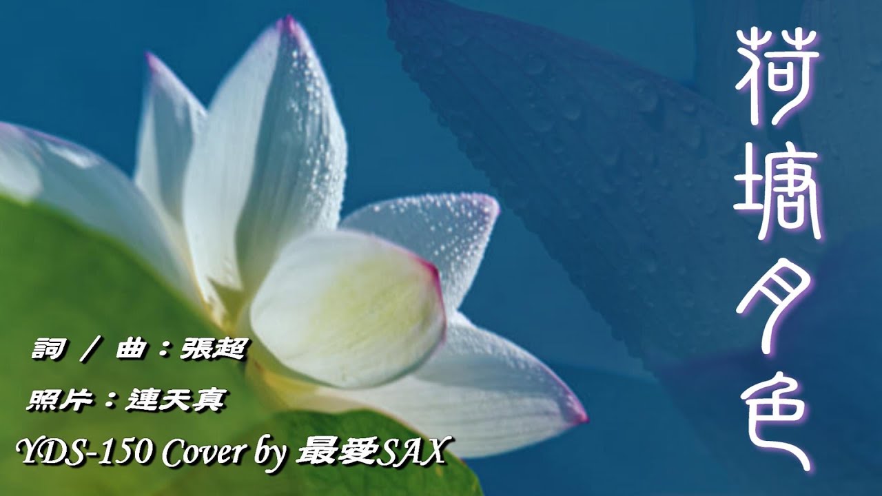 荷塘月色原唱#鳳凰傳奇詞曲#張超YAMAHA YDS-150 Digital Saxophone