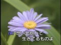女性は愛に生きる カラオケ 女性は愛に生きる カラオケ