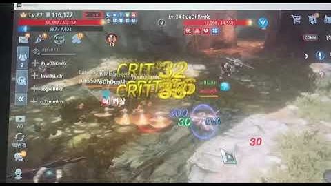 Mir 4 invincibility bug