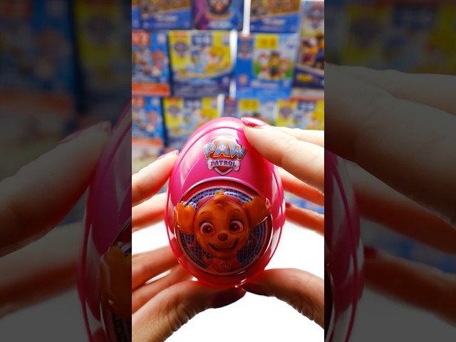 Surprise Egg with Skye?! Paw Patrol Fun! #pawpatrol