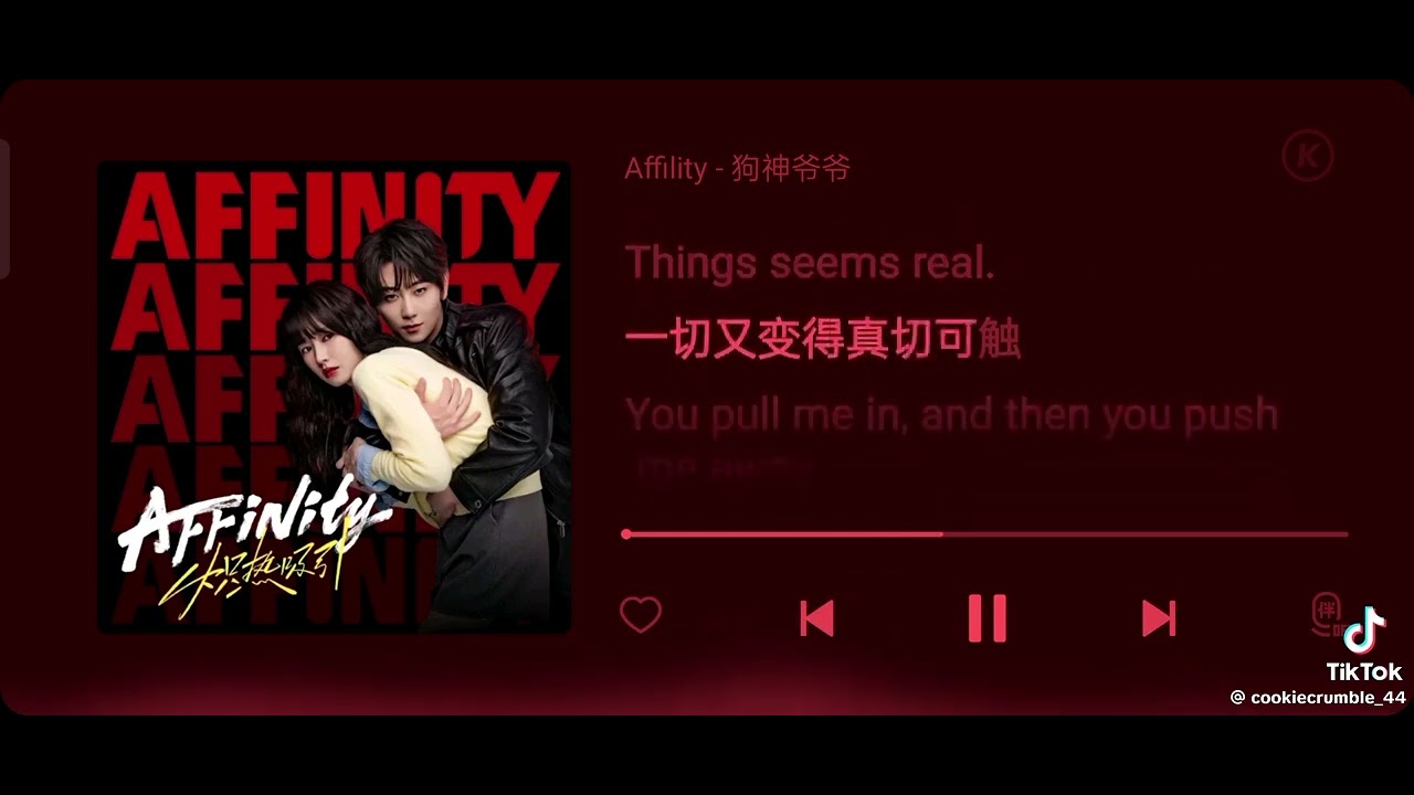 AFFINITY SOUNDTRACK [affinity cdrama ost]