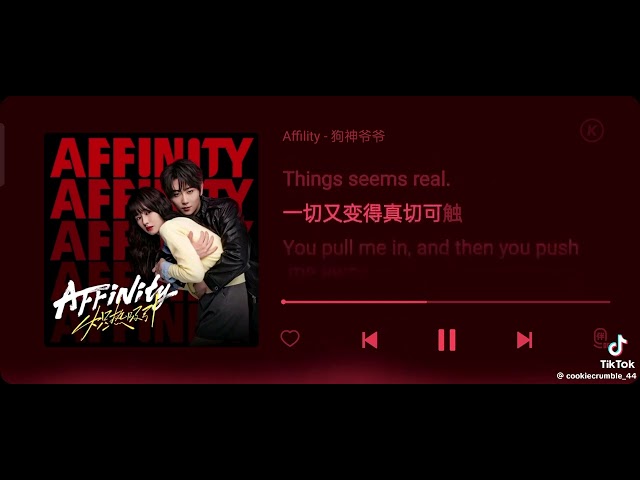 AFFINITY SOUNDTRACK [affinity cdrama ost]