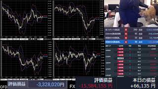 ＦＸ配信、株暴落してるじゃん、もうダメだ。