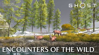 Ghost of Yotei - Side Tale : Encounters of the Wild