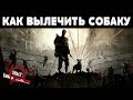 WarZ Law of Survival - КАК ВЫЛЕЧИТЬ СОБАКУ | by Boroda Game