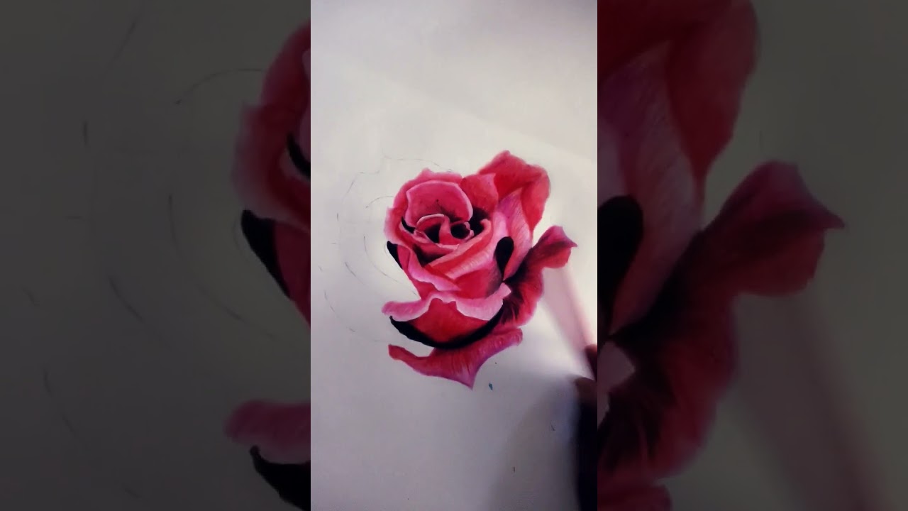 beautiful red 🌹❤️😍❤️ sketching/on trend slim shaddy###