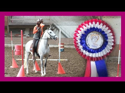 KAMPIOEN! | WORKING EQUITATION | snuitable