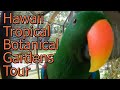 Hawaiian Tropical Botanical Garden